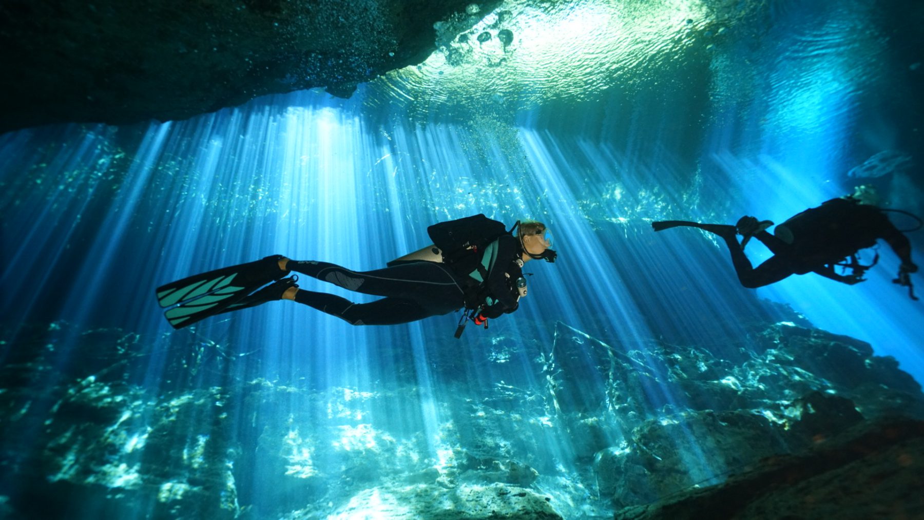 Dive Trips