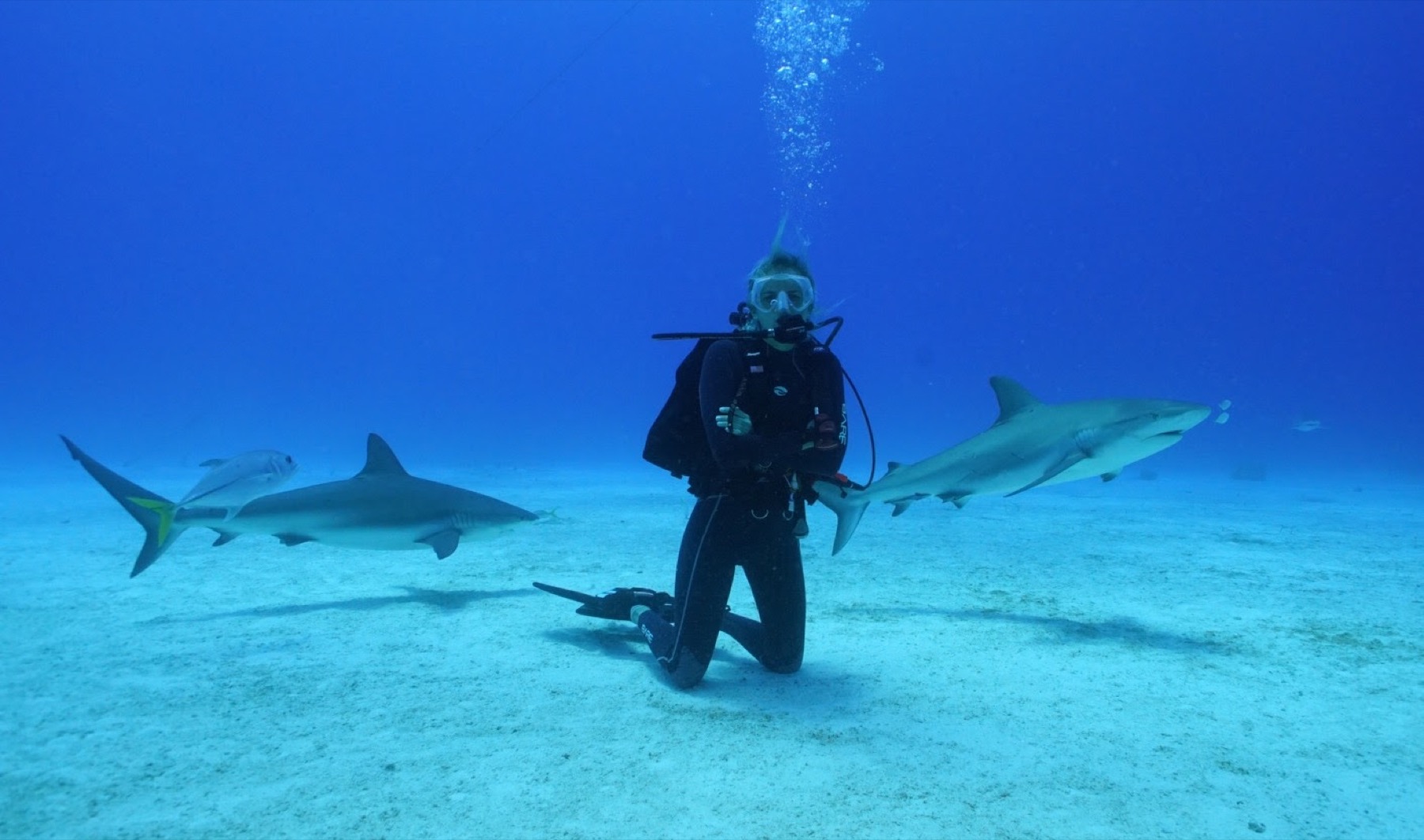 Dive trip planning